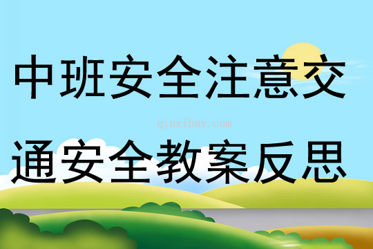 中班安全公開課注意交通安全教案反思