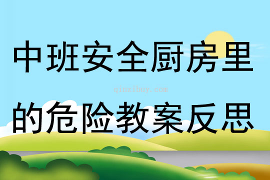 中班安全廚房里的危險教案反思