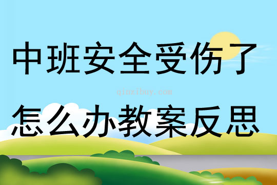 中班安全受傷了怎么辦教案反思
