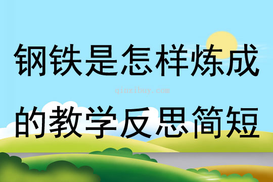 鋼鐵是怎樣煉成的教學反思簡短