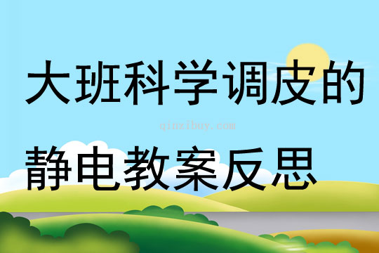 大班科學(xué)調(diào)皮的靜電教案反思