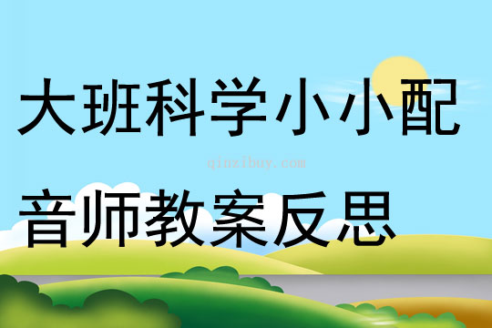 大班科學活動小小配音師教案反思