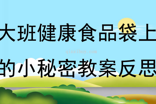 大班健康食品袋上的小秘密教案反思