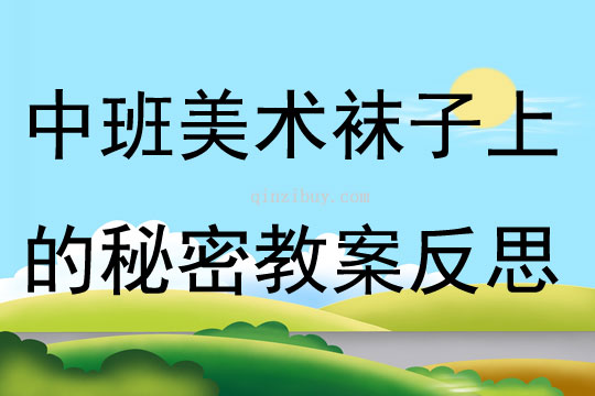 中班美術(shù)襪子上的秘密教案反思