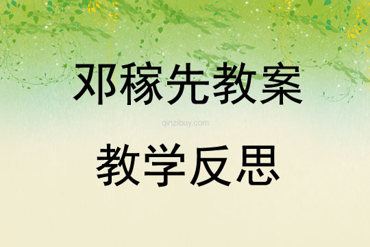 鄧稼先教案教學反思