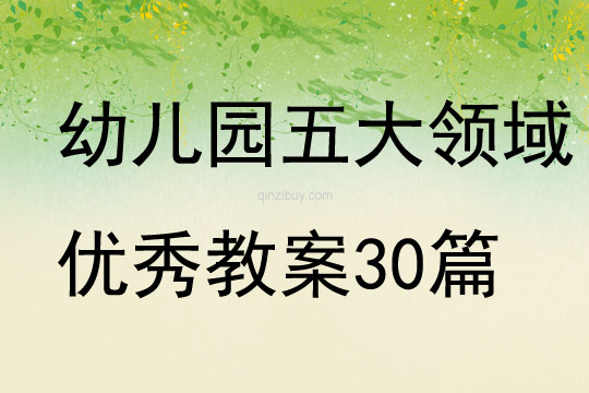 幼兒園五大領域優秀教案30篇