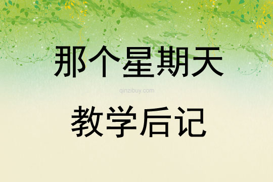 那個星期天教學后記