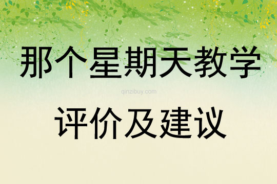 那個星期天教學(xué)評價及建議