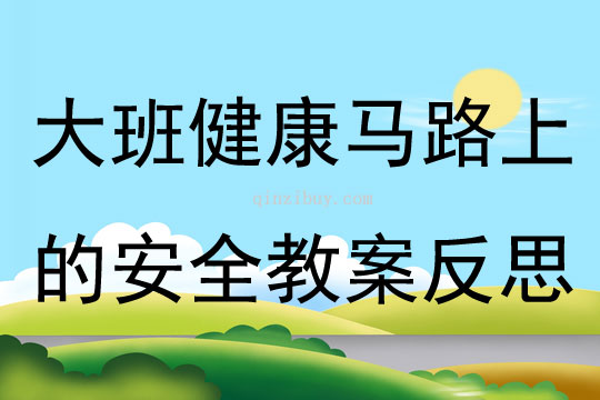 大班健康馬路上的安全教案反思