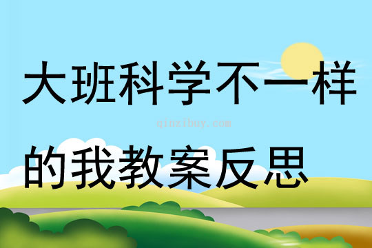 大班科學(xué)活動(dòng)不一樣的我教案反思
