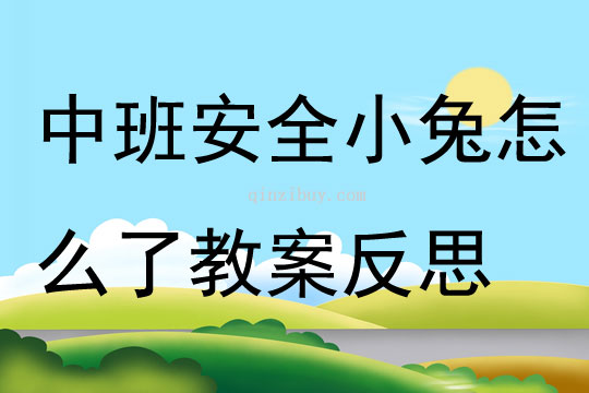 中班安全小兔怎么了教案反思