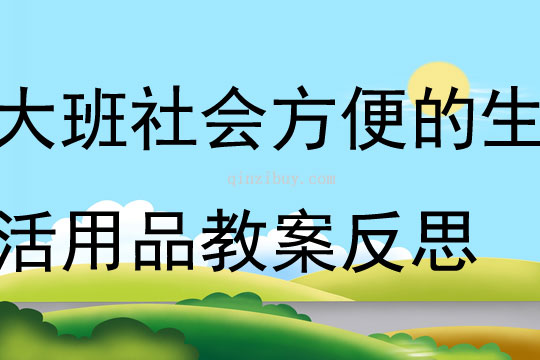 大班社會公開課方便的生活用品教案反思