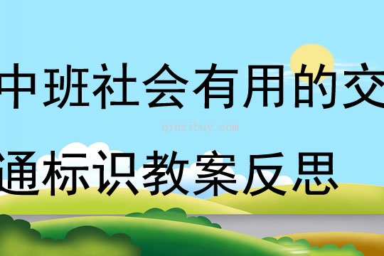 中班社會活動有用的交通標識教案反思