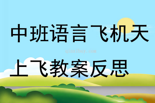 中班語言活動飛機(jī)天上飛教案反思
