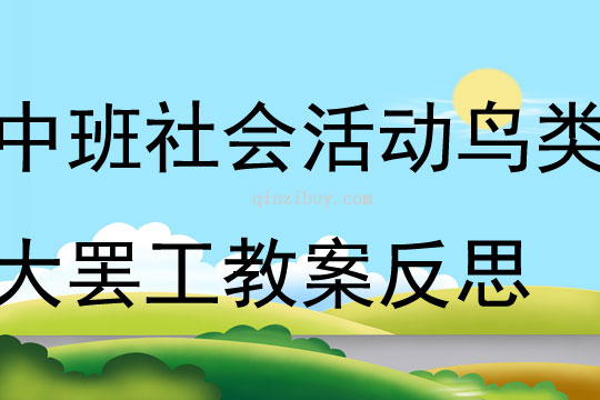 中班社會(huì)公開課鳥類大罷工教案反思