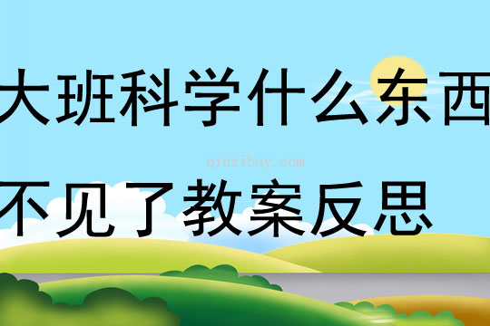 大班科學活動什么東西不見了教案反思