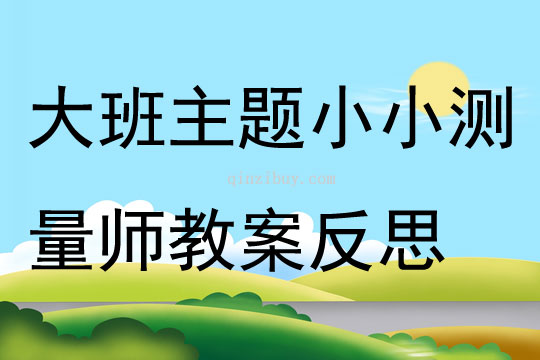 大班主題學(xué)習(xí)活動小小測量師教案反思