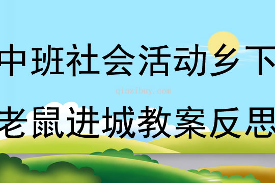 中班社會活動鄉(xiāng)下老鼠進城教案反思