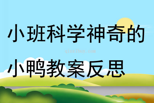 小班科學(xué)神奇的小鴨教案反思