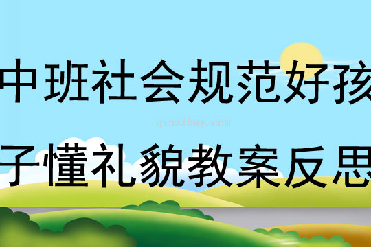 中班社會規范好孩子懂禮貌教案反思