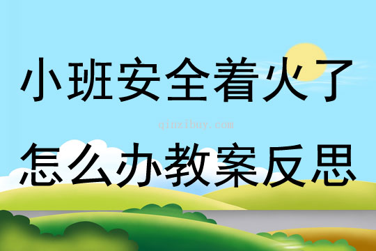 小班安全著火了怎么辦教案反思