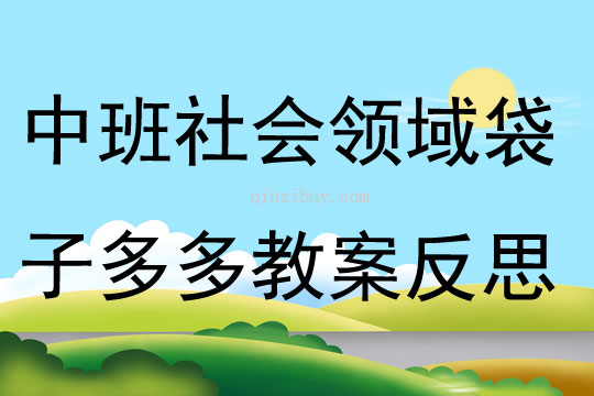 中班社會領域袋子多多教案反思