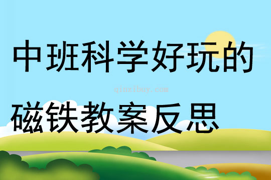中班科學(xué)優(yōu)質(zhì)課好玩的磁鐵教案反思
