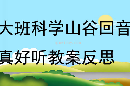 大班科學山谷回音真好聽教案反思