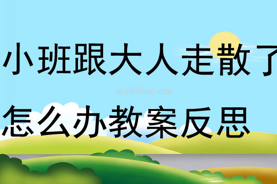 小班安全跟大人走散了怎么辦教案反思