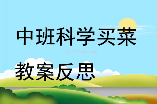 中班科學買菜教案反思
