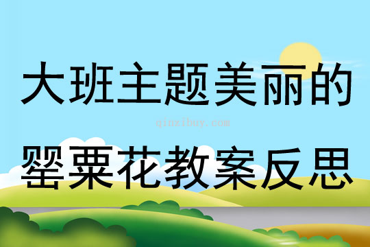 大班主題美麗的罌粟花教案反思