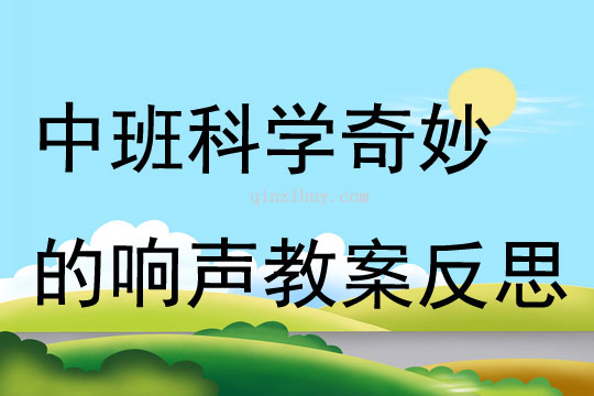 中班科學奇妙的響聲教案反思