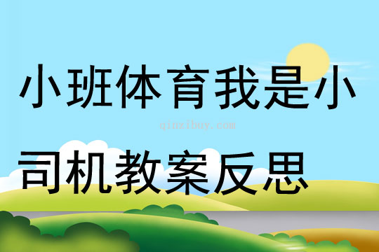 小班體育活動我是小司機教案反思