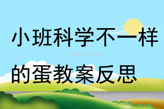小班科學(xué)不一樣的蛋教案反思