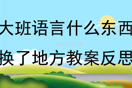 大班語言什么東西換了地方教案反思