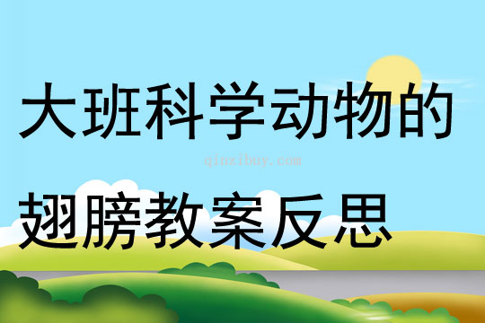大班科學(xué)動(dòng)物的翅膀教案反思