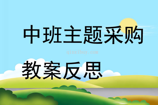 中班主題采購教案反思