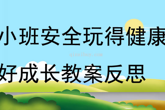 小班安全公開課玩得健康好成長教案反思