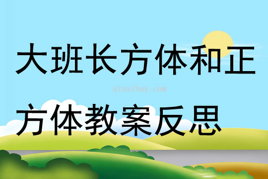 大班數(shù)學(xué)活動(dòng)認(rèn)識(shí)長(zhǎng)方體和正方體教案反思