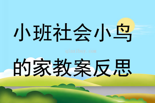小班社會(huì)公開課小鳥的家教案反思