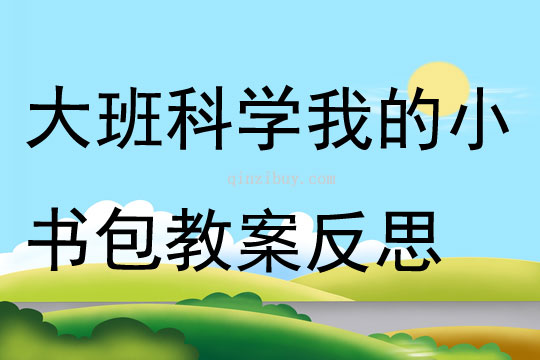 大班科學(xué)活動(dòng)我的小書包教案反思