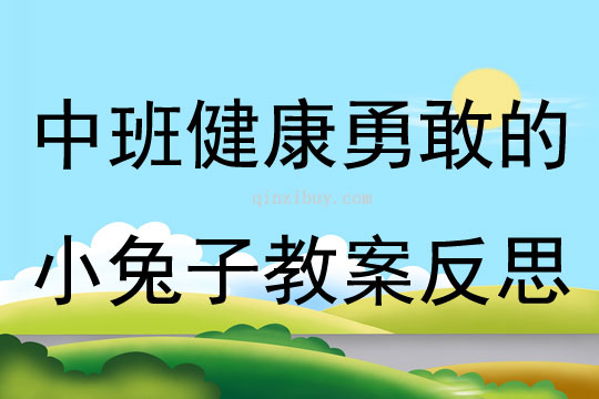 中班健康勇敢的小兔子教案反思