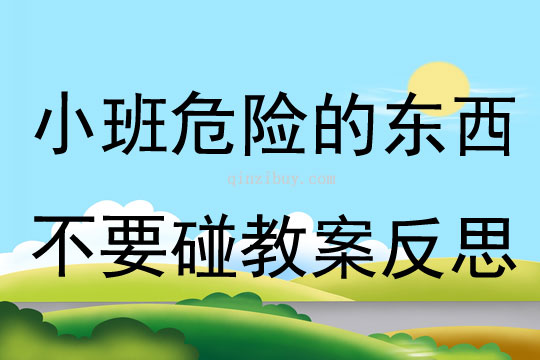 小班安全公開課危險(xiǎn)的東西不要碰教案反思