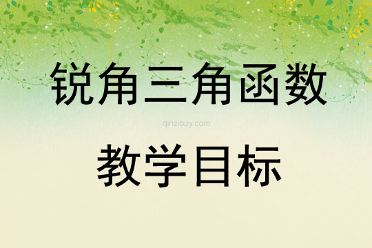 銳角三角函數(shù)教學目標