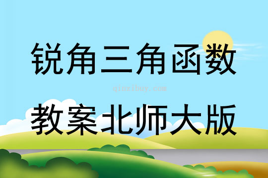 銳角三角函數教案北師大版