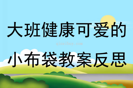 大班健康可愛的小布袋教案反思