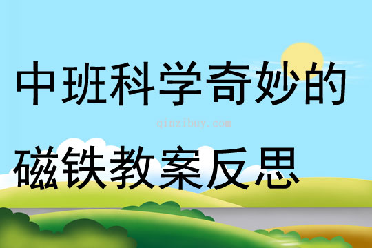 中班科學活動奇妙的磁鐵教案反思