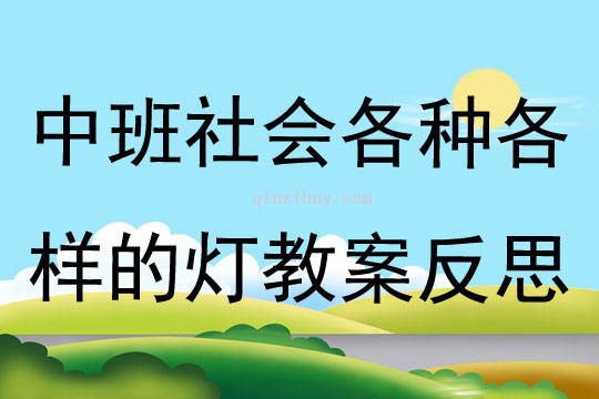 中班社會各種各樣的燈教案反思
