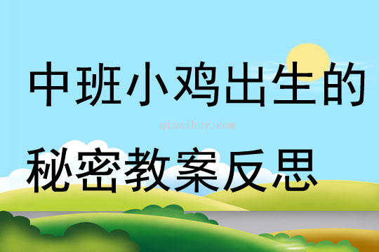 中班科學小雞出生的秘密教案反思