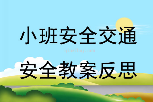 小班安全優質課交通安全教案反思